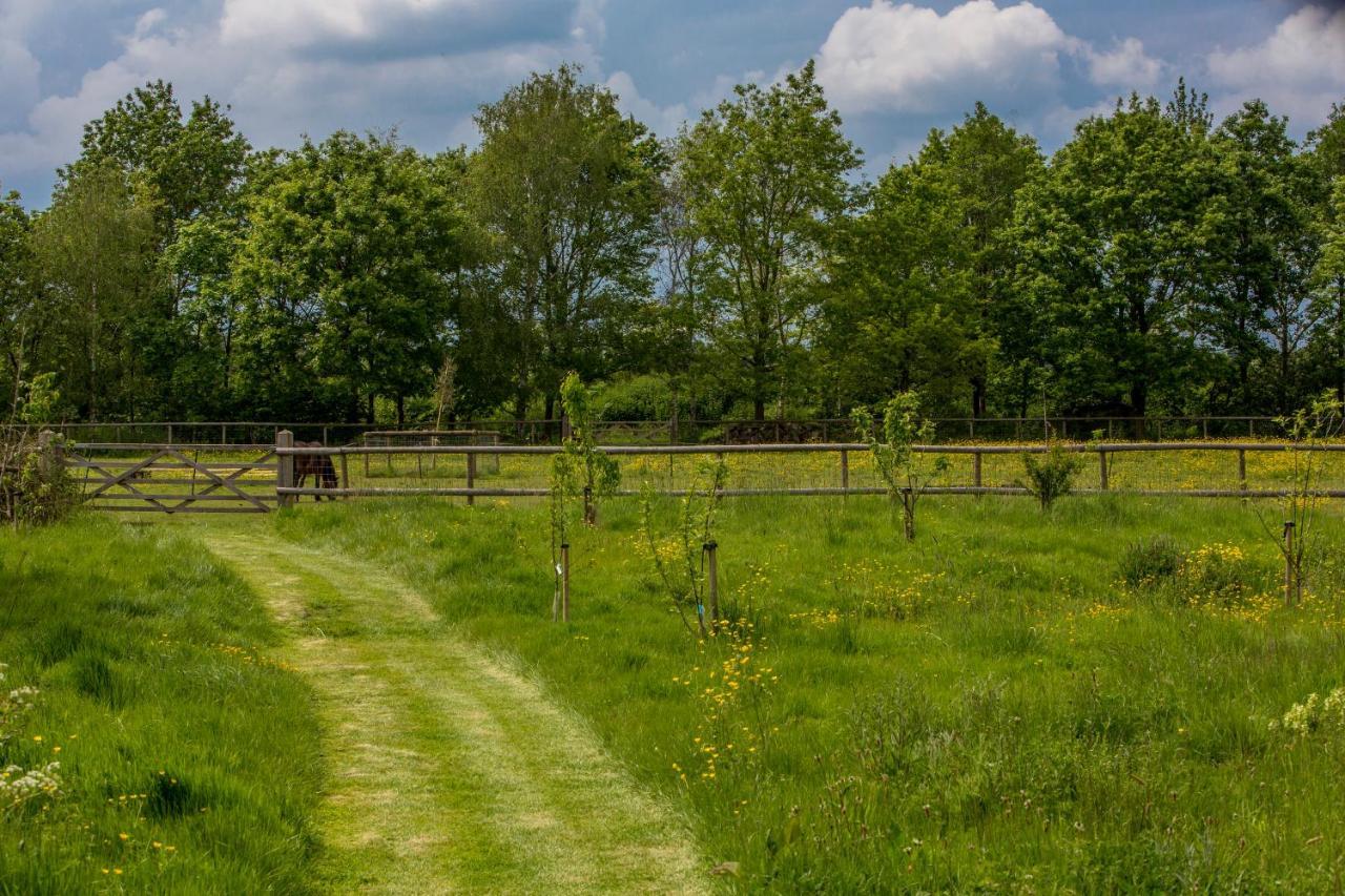 Vila The Cowsheds Brinkworth Exteriér fotografie